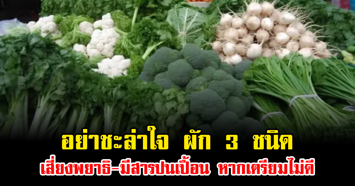อย่าชะล่าใจ ผัก 3 ชนิด เสี่ยงพยาธิ-มีสารปนเปื้อน หากเตรียมไม่ดี หลายคนกินบ่อย