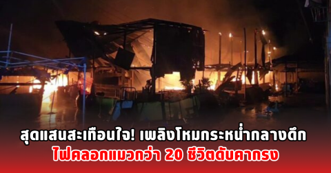 สุดแสนสะเทือนใจ! เพลิงโหมกระหน่ำกลางดึก ไฟคลอกแมวกว่า 20 ชีวิตดับคากรง
