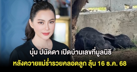 บุ๋ม ปนัดดา เปิดบ้านเลขที่มูลนิธิ หลังควายแม่ร่ำรวยคลอดลูก ลุ้น 16 ธ.ค. 68