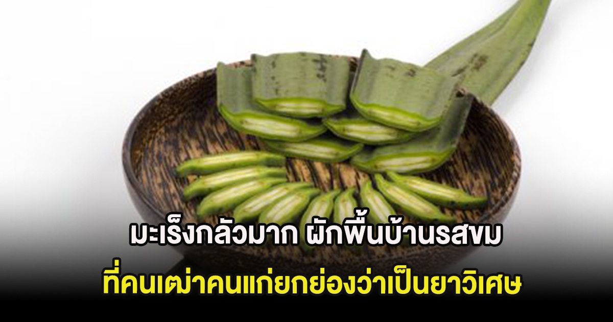 มะเร็งกลัวมาก ผักพื้นบ้านรสขมที่คนเฒ่าคนแก่ยกย่องว่าเป็นยาวิเศษ