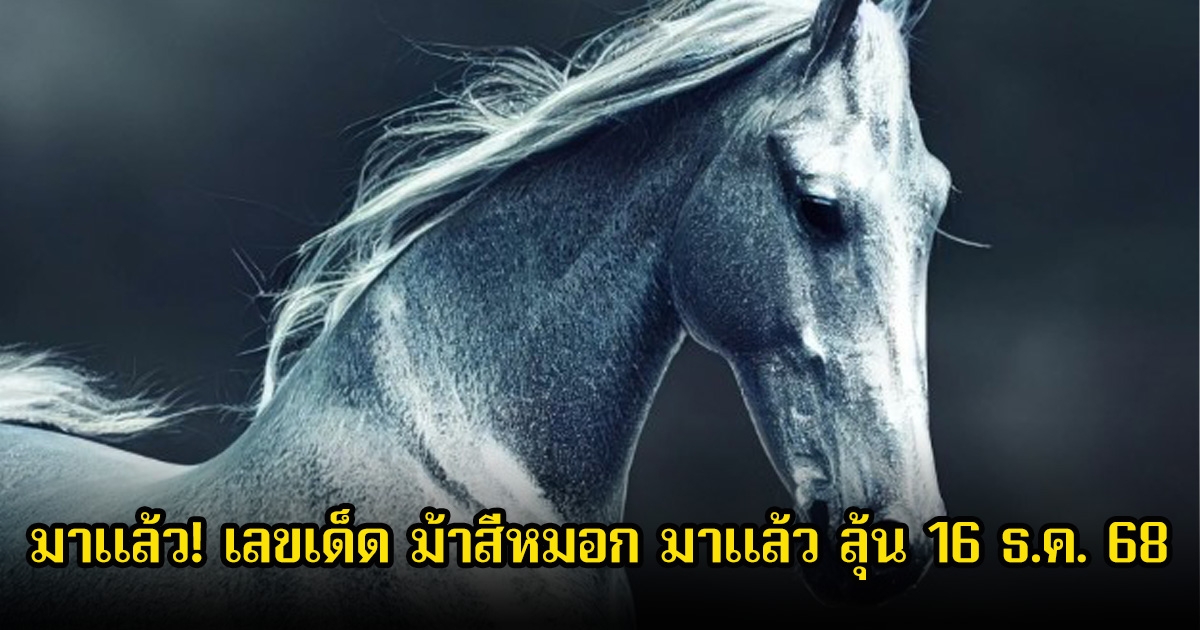 ห้ามพลาด เลขเด็ด ม้าสีหมอก มาแล้ว ลุ้น 16 ธ.ค. 68