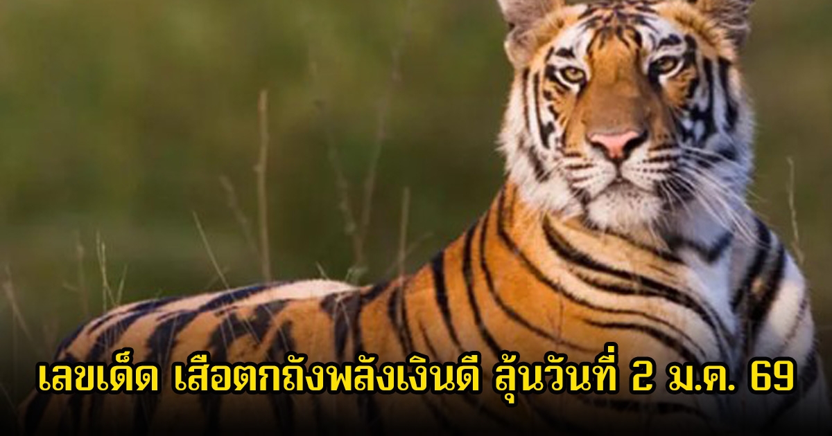 เลขเด็ด เสือตกถังพลังเงินดี ลุ้นวันที่ 2 มกราคม 69