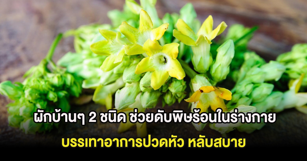 ผักบ้านๆ 2 ชนิด ช่วยดับพิษร้อนในร่างกาย บรรเทาอาการปวดหัว หลับสบาย