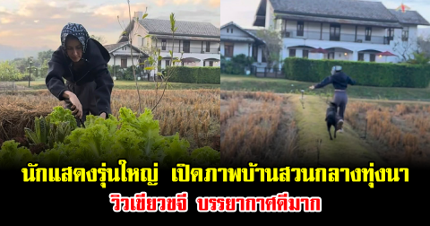 อย่างกับสวรรค์ นักแสดงรุ่นใหญ่ เปิดภาพบ้านสวนกลางทุ่งนา วิวเขียวขจี บรรยากาศดีมาก