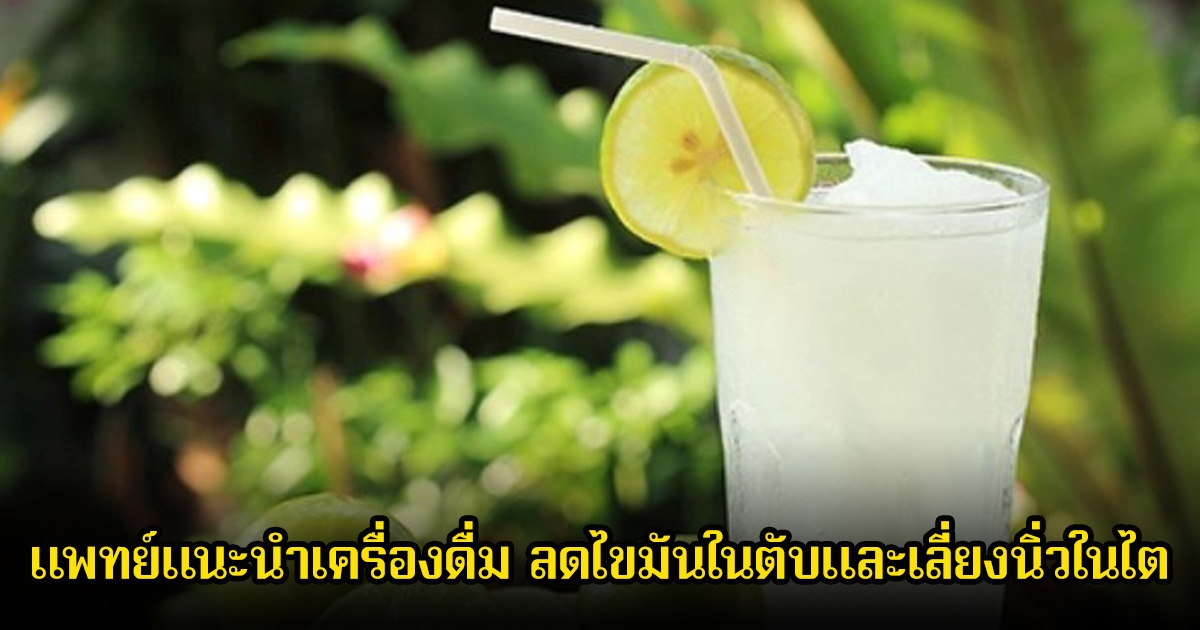 ที่ไทยมีเพียบ! แพทย์แนะนำเครื่องดื่ม ลดไขมันในตับและเลี่ยงนิ่วในไต ใช้ผลไม้ 1 แค่ชนิด