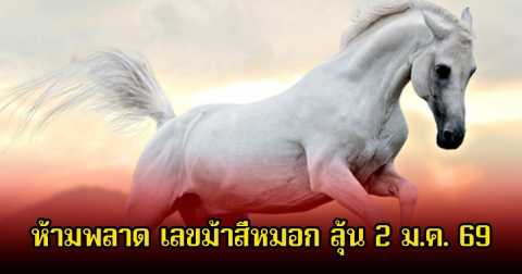 ห้ามพลาด เลขเด็ด ม้าสีหมอก มาแล้ว ลุ้น 2 ม.ค. 69