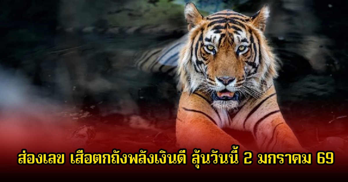 ส่องเลข เสือตกถังพลังเงินดี ลุ้นวันนี้ 2 มกราคม 69