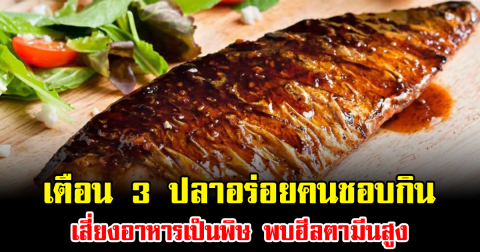 อย่าชะล่าใจ เตือน 3 ปลาอร่อยคนชอบกิน เสี่ยงอาหารเป็นพิษ พบฮีลตามีนสูง