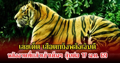 เลขเด็ด เสือตกถังพลังเงินดี หลังงวดที่แล้วเข้าเต็มๆ ลุ้นต่อวันที่ 17 มกราคม 69