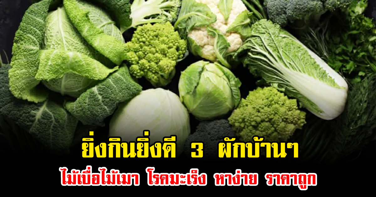 ยิ่งกินยิ่งดี 3 ผักบ้านๆ ไม้เบื่อไม้เมา โรคมะเร็ง หาง่าย ราคาถูก
