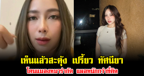 เห็นแล้วสะดุ้ง เปรี้ยว ทัศนียา โดนแมลงหมาร่ากัด แผลหนักกว่าที่คิด