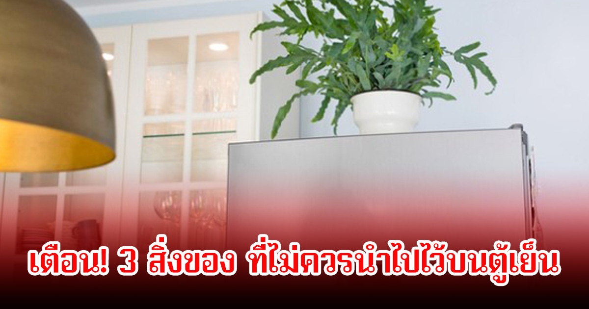 เตือน! 3 สิ่งของ ที่ไม่ควรนำไปไว้บนตู้เย็น เปลืองไฟแถมอันตรายมาก หลายบ้านชอบทำ