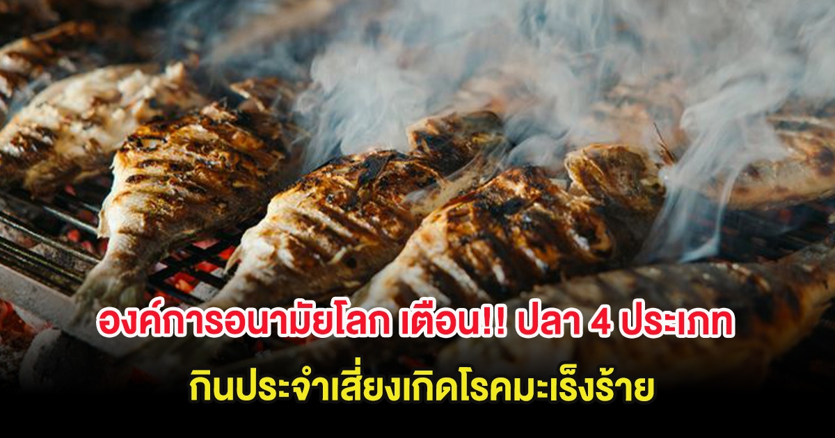 องค์การอนามัยโลก เตือน!! ปลา 4 ประเภท  กินประจำเสี่ยงเกิดโรคมะเร็งร้าย