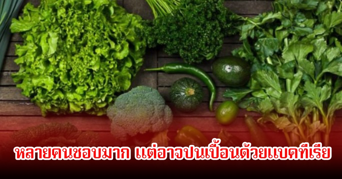 หลายคนชอบมาก! ผักหนึ่งชนิด อาจปนเปื้อนด้วยแบคทีเรีย เสี่ยงกระทบสุขภาพมาก ตามตลาดมีเพียบ