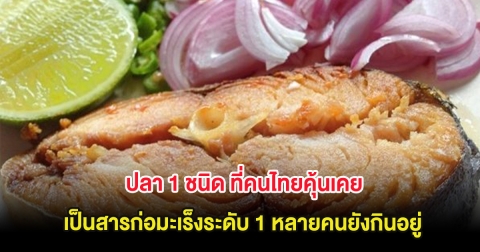 ปลา 1 ชนิด ที่คนไทยคุ้นเคย เป็นสารก่อมะเร็งอันดับ 1 หลายคนยังกินอยู่