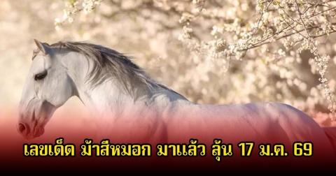 มาแล้ว! เลขเด็ด ม้าสีหมอก มาแล้ว ลุ้นงวดที่ 17 ม.ค. 69