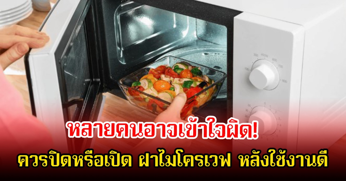 หลายคนอาจเข้าใจผิด! ควรปิดหรือเปิด ฝาไมโครเวฟ หลังใช้งานดี