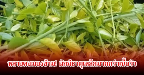 หลายคนมองข้าม! ผัก 1 ชนิด มีธาตุเหล็กมากกว่าเนื้อวัว แถมถูกยกย่องว่าเป็นโสมของคนจน ไทยมีเพียบ