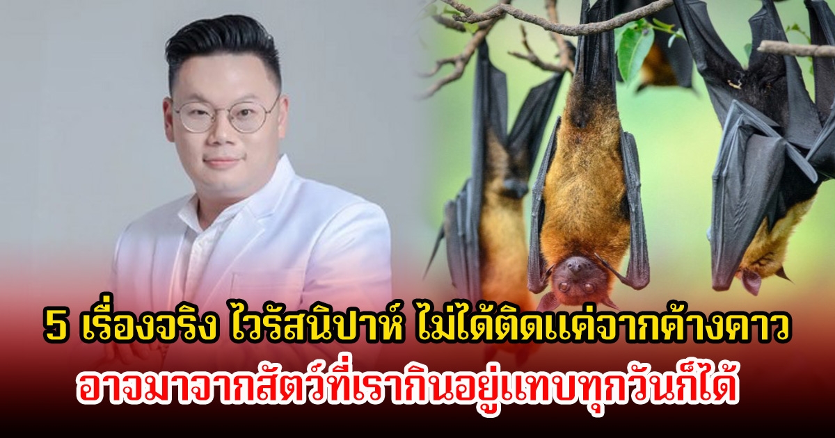 หมอเจด เผย 5 เรื่องจริง ไวรัสนิปาห์ ไม่ได้ติดแค่จากค้างคาว อาจมาจากสัตว์ที่เรากินอยู่แทบทุกวันก็ได้