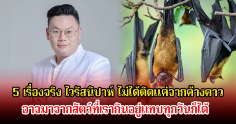 หมอเจด เผย 5 เรื่องจริง ไวรัสนิปาห์ ไม่ได้ติดแค่จากค้างคาว อาจมาจากสัตว์ที่เรากินอยู่แทบทุกวันก็ได้
