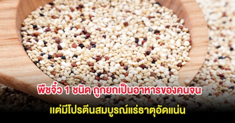 พืชจิ๋ว 1 ชนิด ถูกยกเป็นอาหารของคนจน เเต่มีโปรตีนสมบูรณ์แร่ธาตุอัดแน่น