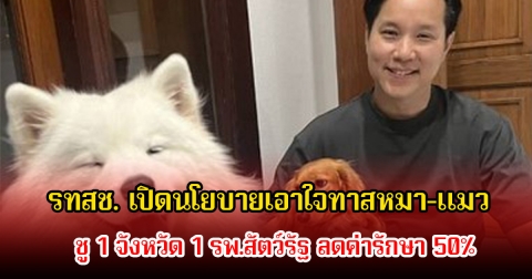 พรรครวมไทยสร้างชาติ เปิดนโยบายเอาใจทาสหมา-แมว ชู 1 จังหวัด 1 รพ.สัตว์รัฐ ลดค่ารักษา 50%