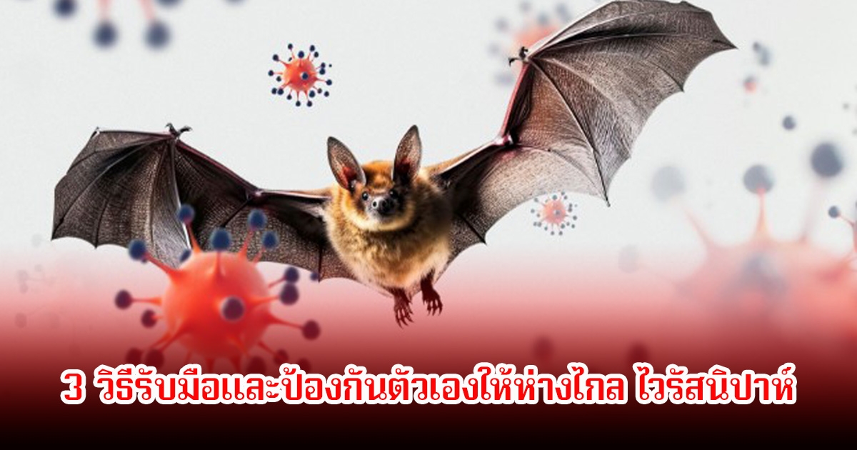 เช็ก! 3 วิธีรับมือและป้องกันตัวเองให้ห่างไกล ไวรัสนิปาห์ แม้ยังไม่ระบาดในไทย แต่ไม่ควรประมาทเด็ดขาด