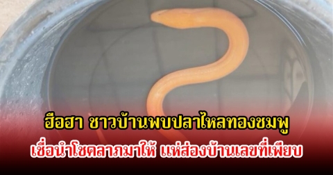 ฮือฮา ชาวบ้านพบปลาไหลทองชมพู เชื่อนำโชคลาภมาให้ แห่ส่องบ้านเลขที่เพียบ