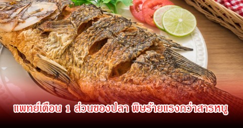 อย่าหากิน! แพทย์เตือน 1 ส่วนของปลา พิษร้ายแรงกว่าสารหนู หลังพบคนป่วยอวัยวะล้มเหลวหลายส่วน