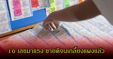 10 เลขมาแรง ขายดีจนเกลี้ยงแผงแล้ว ลุ้น 1 มีนาคม 69 นี้