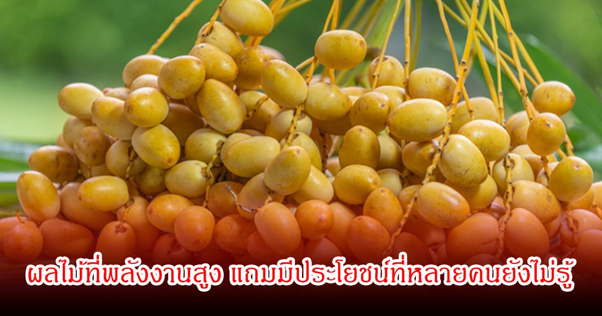 ผลไม้ 1 ชนิด ที่พลังงานสูง แถมมีประโยชน์ที่หลายคนยังไม่รู้ แต่มีข้อควรระวังสำหรับผู้ป่วยบางกลุ่ม