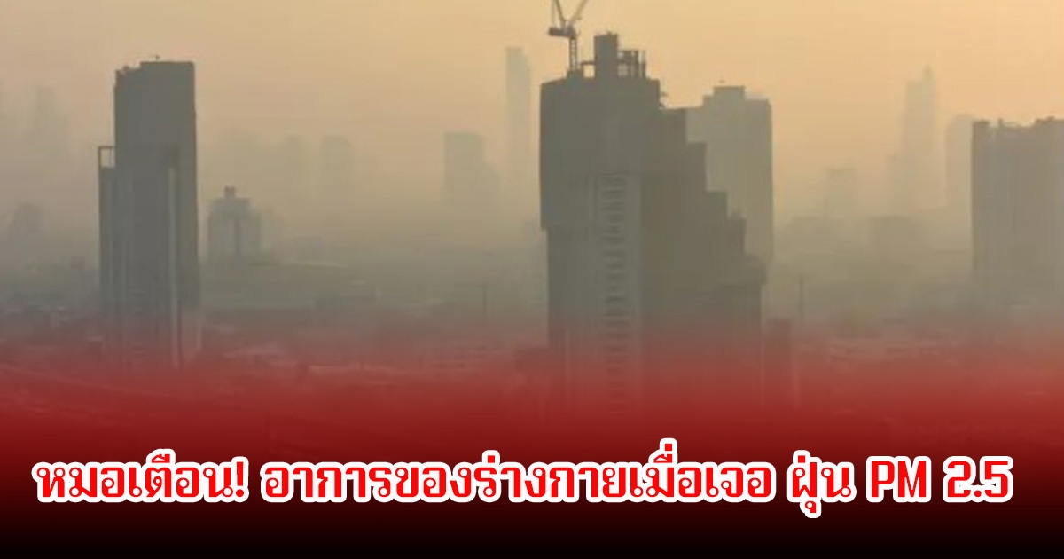 หมอเตือน! อาการของร่างกายเมื่อเจอ ฝุ่น PM 2.5 พร้อมแนะวิธีป้องกันตัวเอง