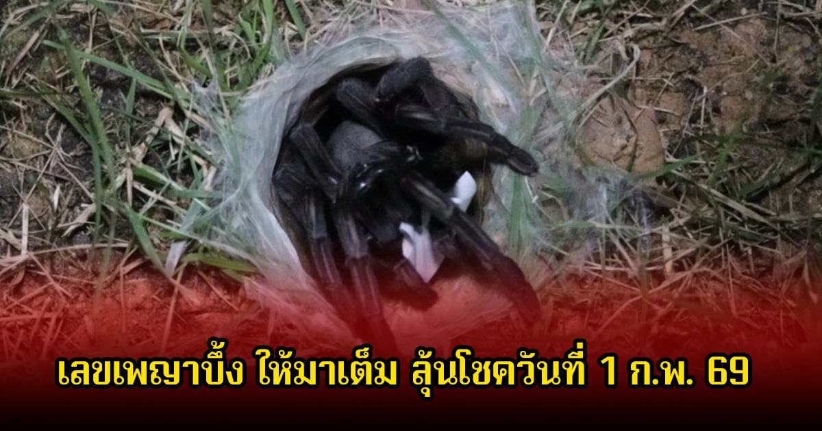 เลขเพญาบึ้ง ให้มาเต็ม ลุ้นโชควันที่ 1 ก.พ. 69