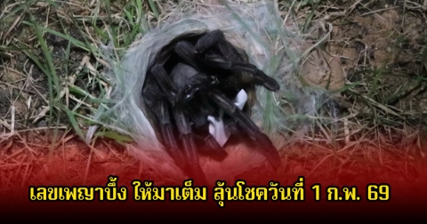 เลขเพญาบึ้ง ให้มาเต็ม ลุ้นโชควันที่ 1 ก.พ. 69