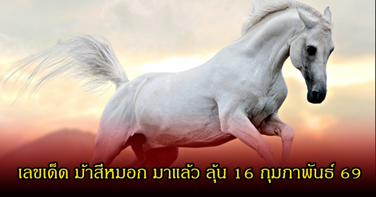 เลขเด็ด ม้าสีหมอก มาแล้ว ลุ้นงวดที่ 16 กุมภาพันธ์ 69