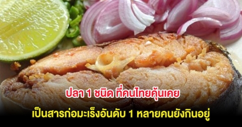 ปลา 1 ชนิด ที่คนไทยคุ้นเคย เป็นสารก่อมะเร็งอันดับ 1 หลายคนยังกินอยู่