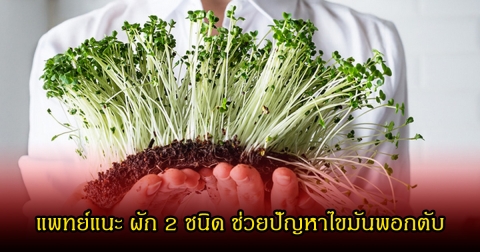 หลายคนมองข้าม! แพทย์แนะ ผัก 2 ชนิด ที่ไทยก็มีใกล้ตัวมาก ช่วยปัญหาไขมันพอกตับ