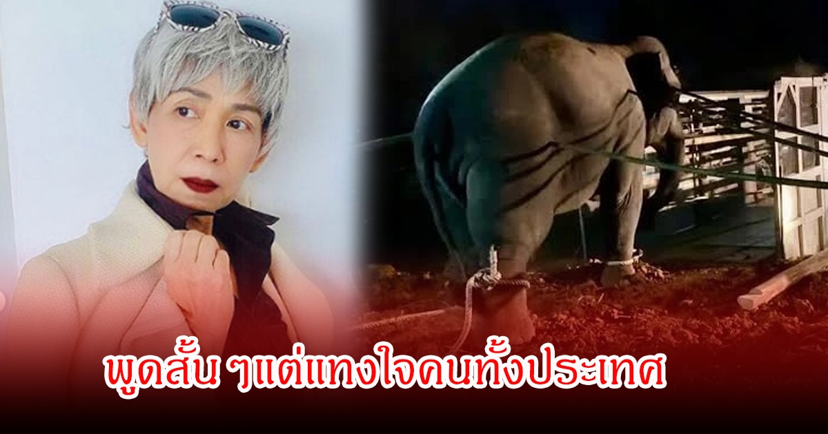 เดือนเต็ม สาลิตุล พูดสั้นๆแต่แทนใจคนทั้งประเทศ หลัง สีดอหูพับ กลับดาวช้าง