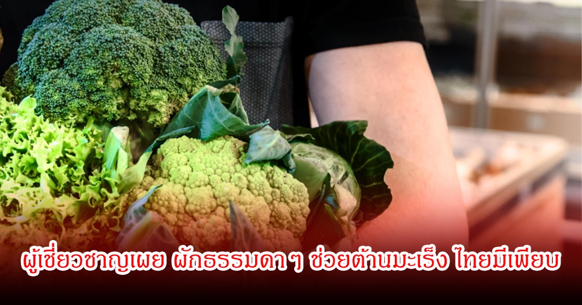 ผู้เชี่ยวชาญเผย ผักธรรมดาๆ ช่วยต้านมะเร็ง ไทยมีเพียบ