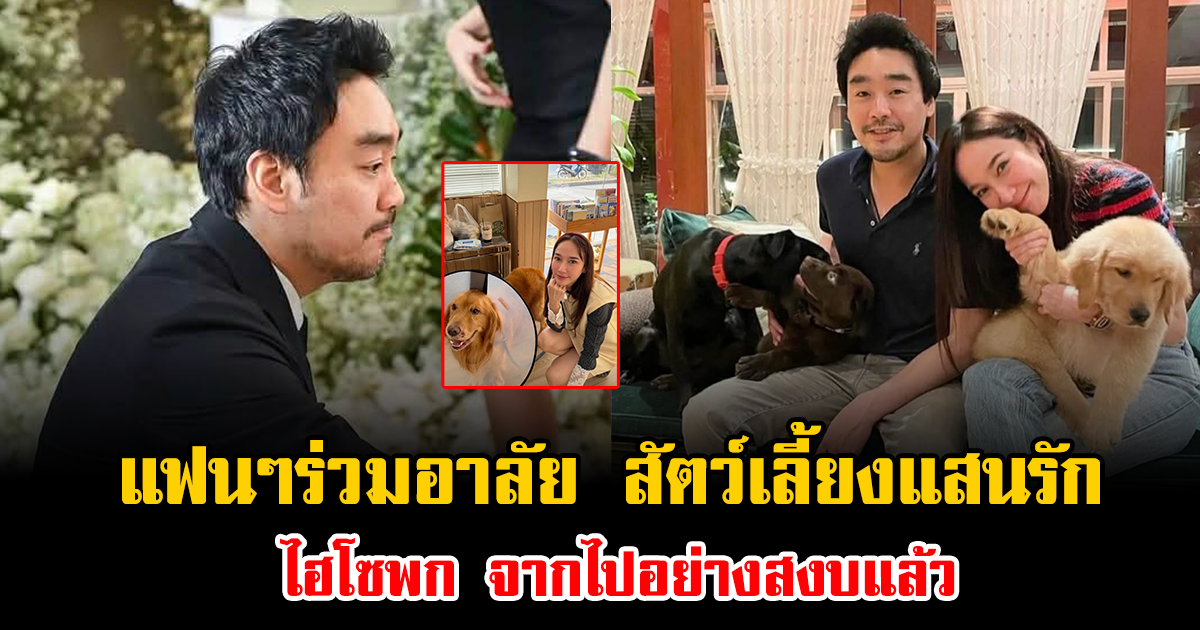 แฟนๆร่วมอาลัย สัตว์เลี้ยงแสนรัก ไฮโซพก จากไปอย่างสงบแล้ว