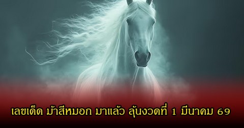 มาแล้ว! เลขเด็ด ม้าสีหมอก มาแล้ว ลุ้นงวดที่ 1 มีนาคม 69