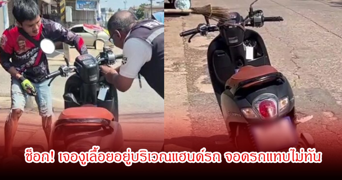 ช็อก! กำลังไปซื้อกับข้าว เจองูเลื้อยอยู่บริเวณแฮนด์รถ จอดรถแทบไม่ทัน รีบขอความช่วยเหลือด่วน