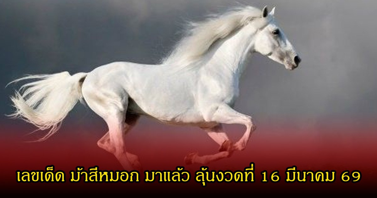 เลขเด็ด ม้าสีหมอก มาแล้ว ลุ้นงวดที่ 16 มีนาคม 69