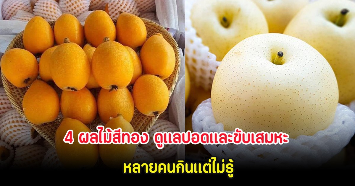 4 ผลไม้สีทอง ดูแลปอดและขับเสมหะ หลายคนกินแต่ไม่รู้