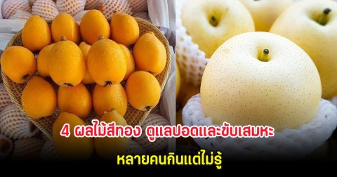 4 ผลไม้สีทอง ดูแลปอดและขับเสมหะ หลายคนกินแต่ไม่รู้