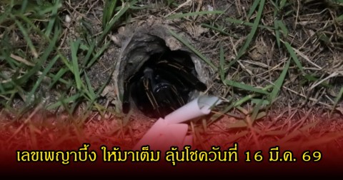 เลขเพญาบึ้ง ให้มาเต็มๆ ลุ้นโชควันที่ 16 มี.ค. 69