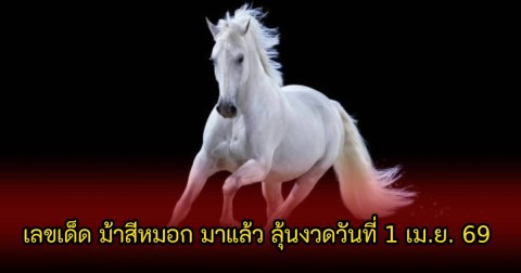 เลขเด็ด ม้าสีหมอก มาแล้ว ลุ้นงวดวันที่ 1 เม.ย. 69