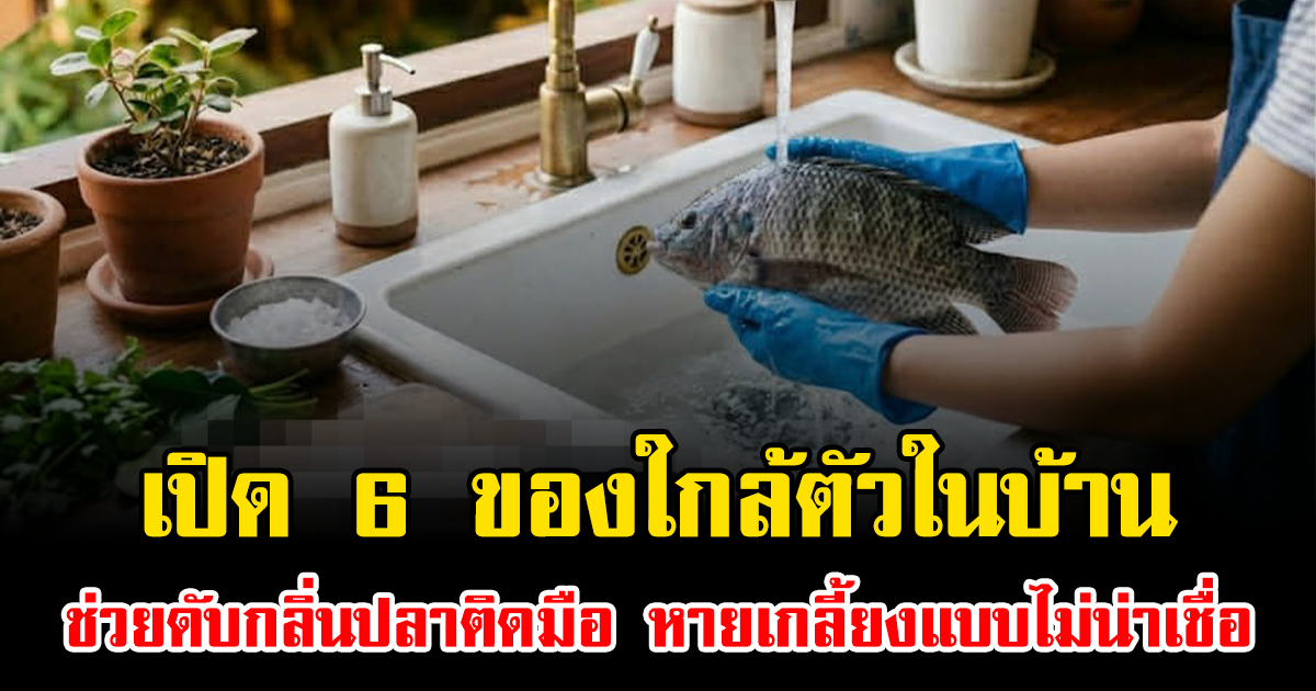 เปิด 6 ของใกล้ตัวในบ้าน ช่วยดับกลิ่นปลาติดมือ หายเกลี้ยงแบบไม่น่าเชื่อ
