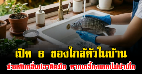 เปิด 6 ของใกล้ตัวในบ้าน ช่วยดับกลิ่นปลาติดมือ หายเกลี้ยงแบบไม่น่าเชื่อ