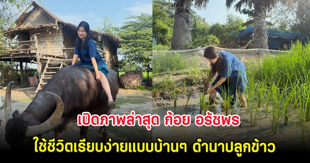 เปิดภาพล่าสุด ก้อย อรัชพร ใช้ชีวิตเรียบง่ายแบบบ้านๆ ดำนาปลูกข้าว ไม่ห่วงสวย